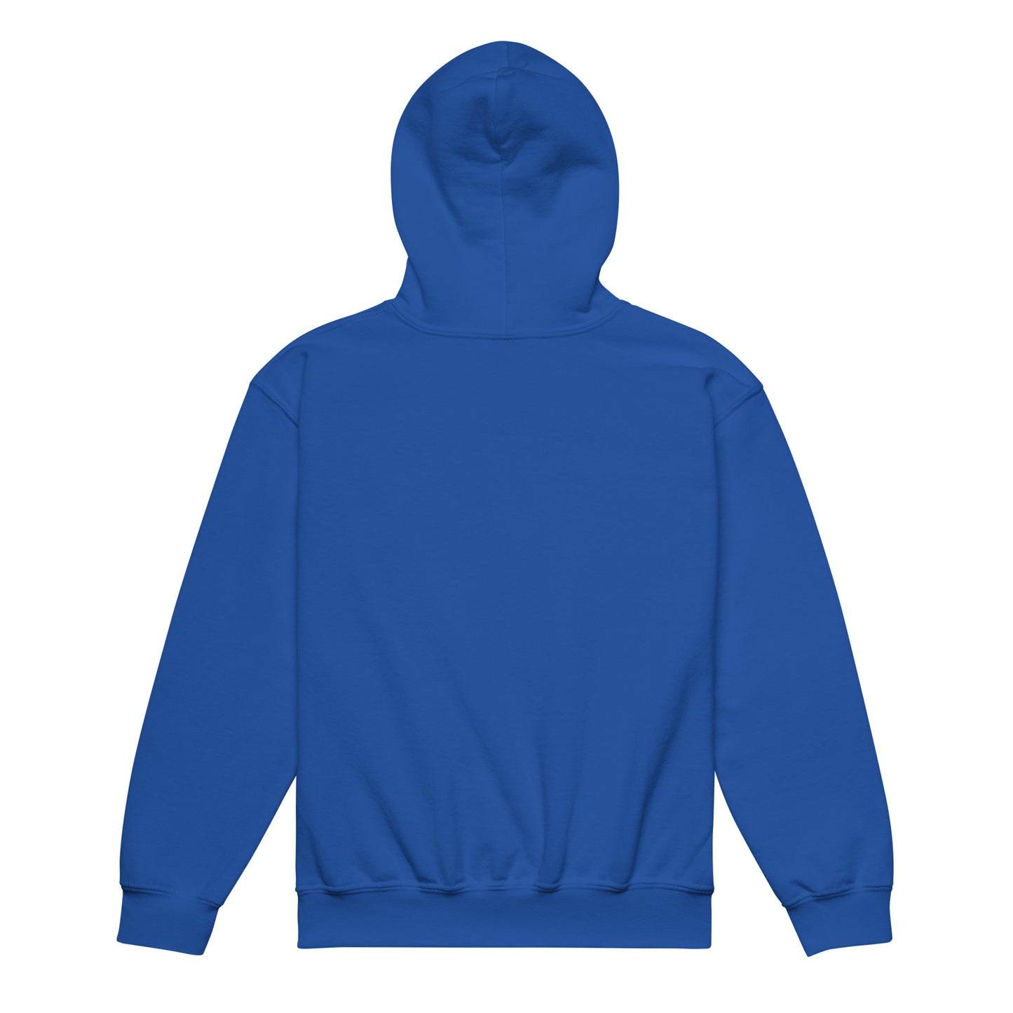 Big Bird Hoodie - Kids