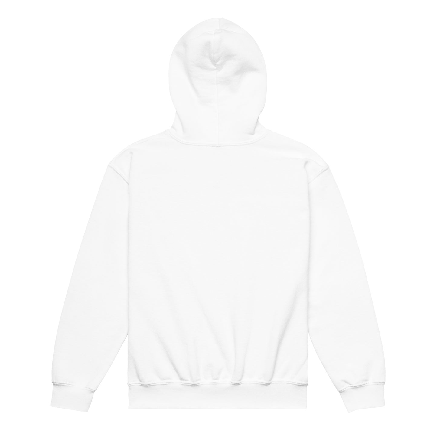 Big Bird Hoodie - Kids